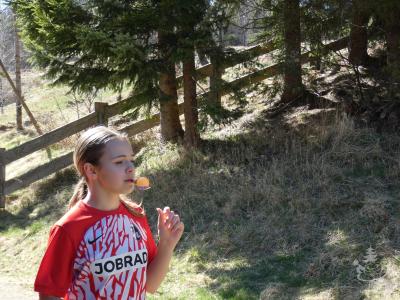 JuKa-Huette_2025_429