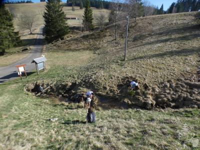 JuKa-Huette_2025_481