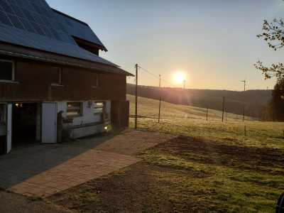 IMG-20220501-WA0029