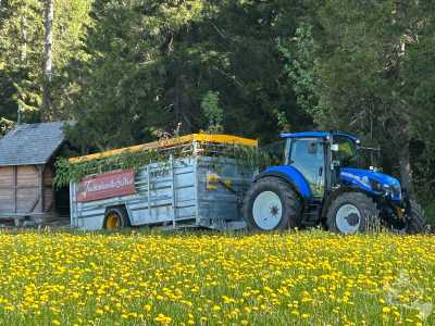 Maiwecken_2025_1273