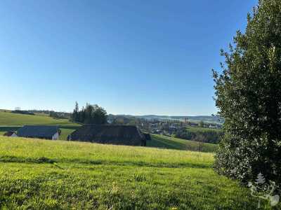 Maiwecken_2025_1279