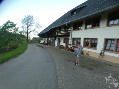 Maiwecken_2025_18