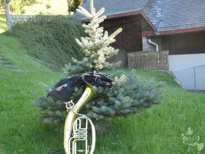 Maiwecken_2025_67