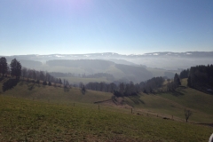 klein-IMG_3438