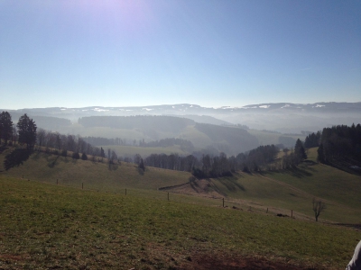 klein-IMG_3438