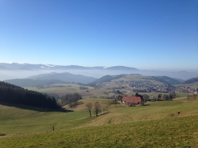 klein-IMG_3439