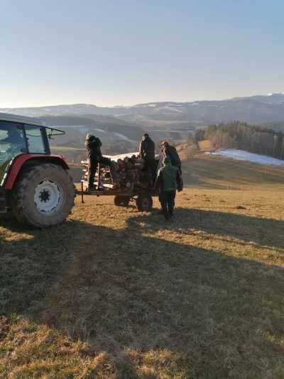 IMG-20220305-WA0001
